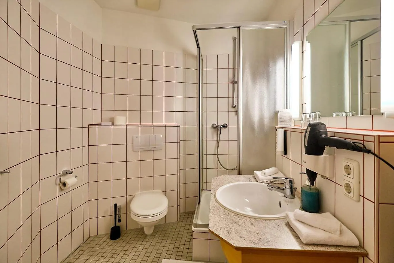 Hotel Roter Hahn Regensburg 3*,